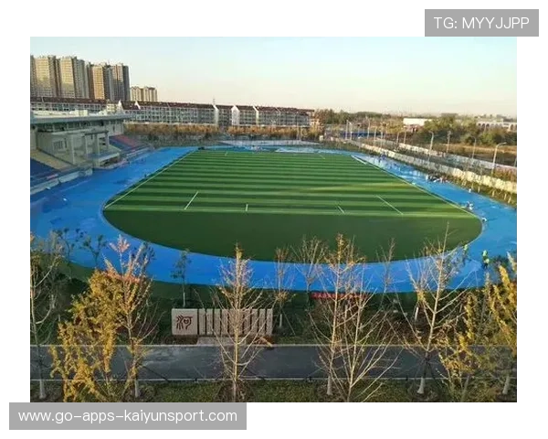 足球场馆临时活动审批的快速通道申请指南，足球场审批手续
